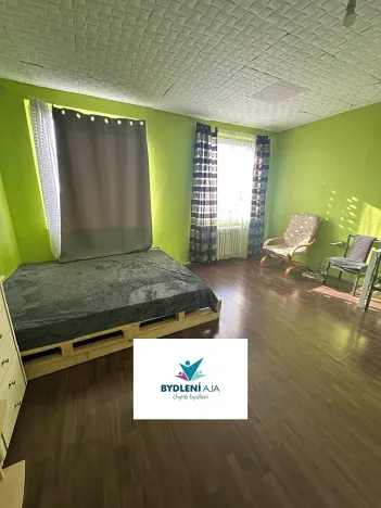 Prodej bytu 1+kk, Teplice, Přítkovská, 31 m2