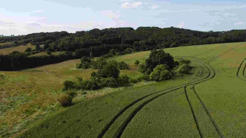 Prodej pozemku, Dobrkovice, 30313 m2