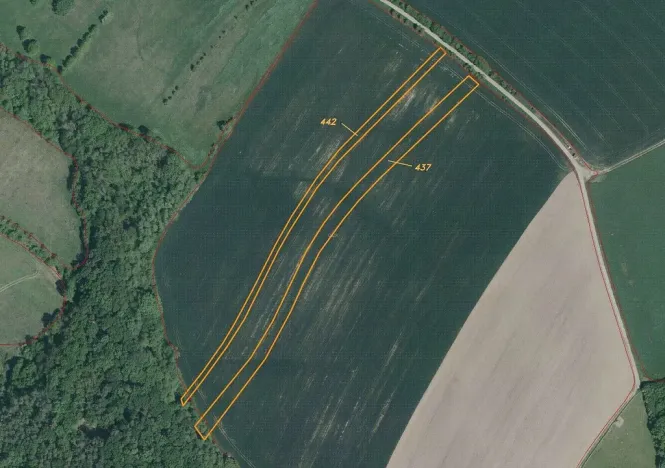 Prodej pozemku, Dobrkovice, 30313 m2