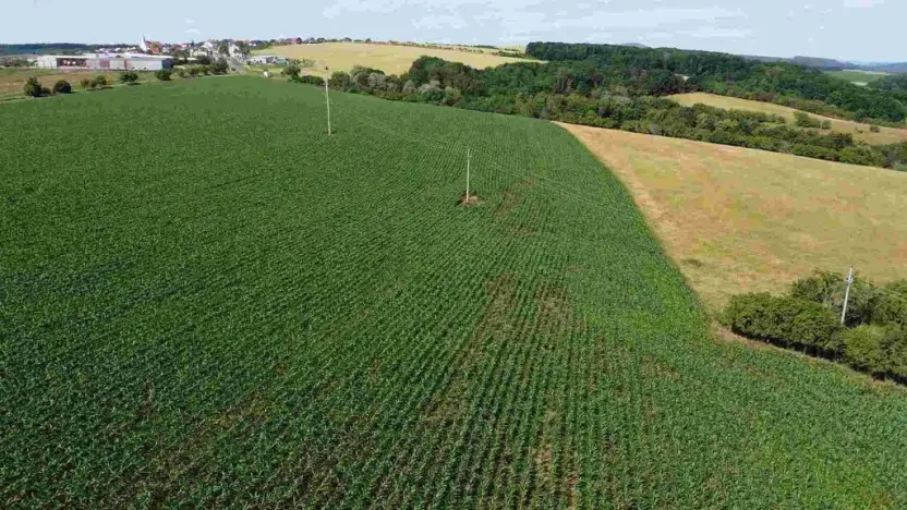 Prodej pozemku, Dobrkovice, 30313 m2