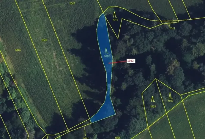 Dražba lesa, Spešov, 500 m2