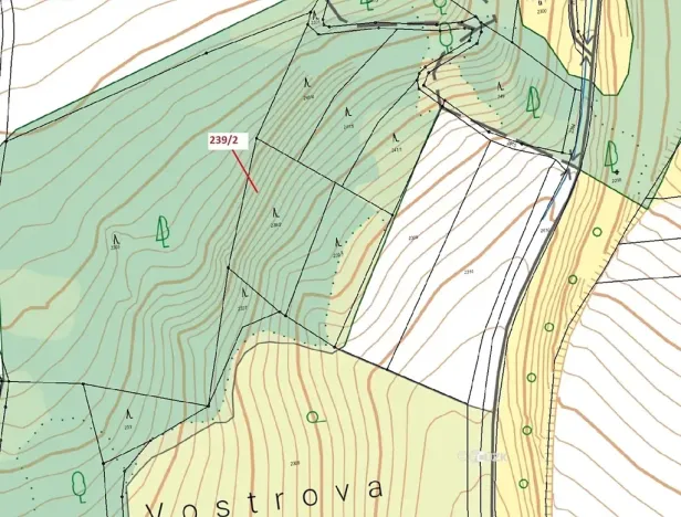 Dražba lesa, Jenišovice, 2305 m2