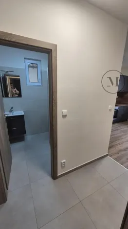 Pronájem bytu 1+1, České Budějovice, Novohradská, 33 m2