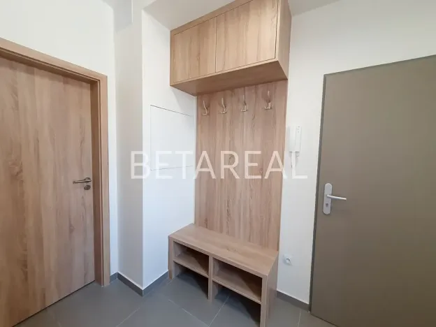 Pronájem bytu 1+kk, Brno, Plotní, 49 m2