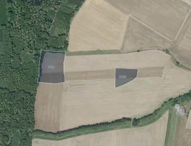 Prodej pole, Masojedy, 21338 m2