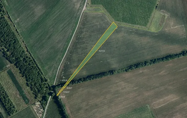 Prodej pole, Nový Poddvorov, 10754 m2