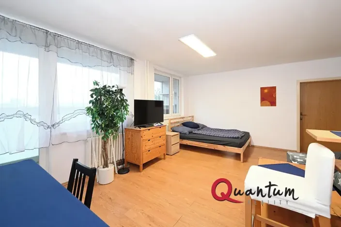 Prodej bytu 2+kk, Praha - Žižkov, Pod lipami, 61 m2