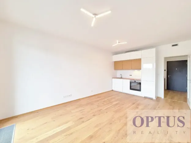 Pronájem bytu 1+kk, Praha - Karlín, Sokolova, 30 m2