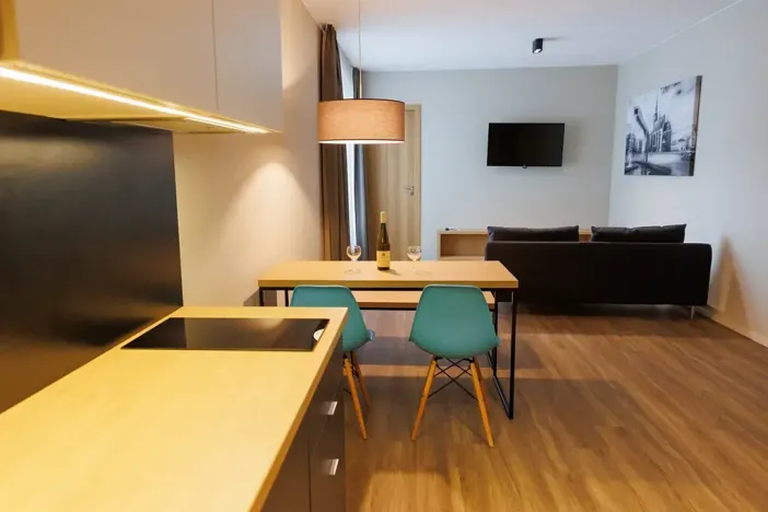 Pronájem bytu 2+kk, Plzeň, Pallova, 52 m2