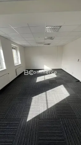 Pronájem skladu, Brno, Vídeňská, 1400 m2