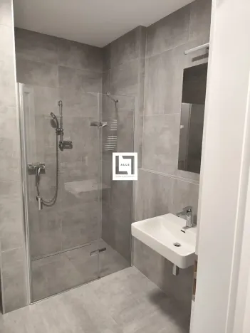 Pronájem bytu 1+kk, Olomouc, Bryksova, 39 m2