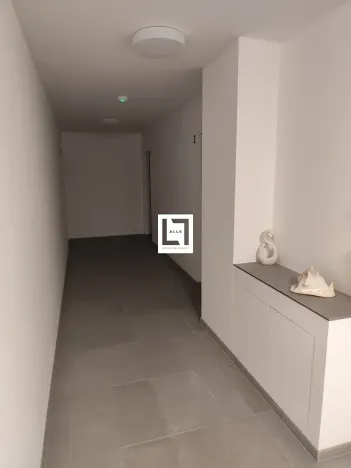 Pronájem bytu 1+kk, Olomouc, Bryksova, 39 m2