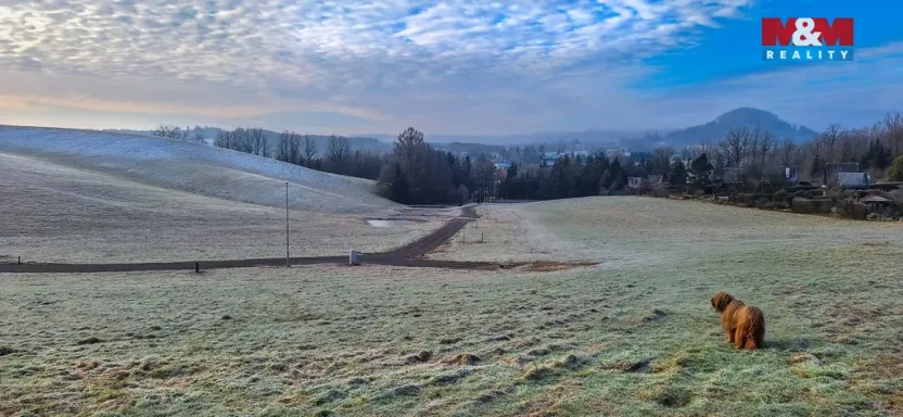 Prodej pozemku pro bydlení, Písečná, 2738 m2