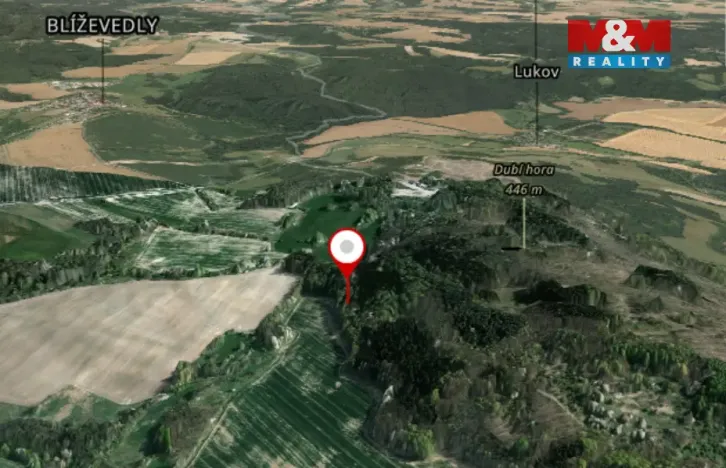 Prodej lesa, Kravaře, 4458 m2