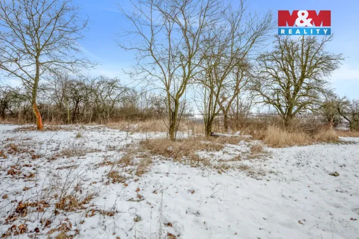 Prodej zahrady, Pchery, 1621 m2