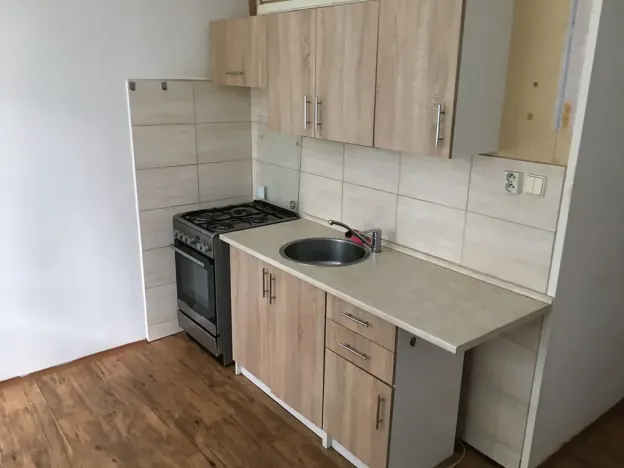 Pronájem bytu 1+1, Žatec, Volyňských Čechů, 38 m2