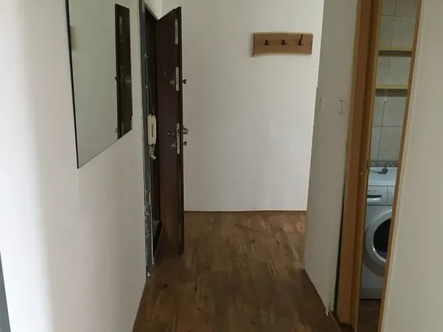 Pronájem bytu 1+1, Žatec, Volyňských Čechů, 38 m2