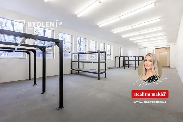 Pronájem kanceláře, Teplice, Tolstého, 218 m2