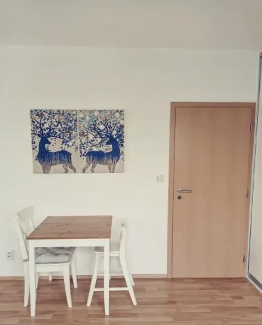 Pronájem bytu 1+kk, Hostivice, Žitná, 46 m2