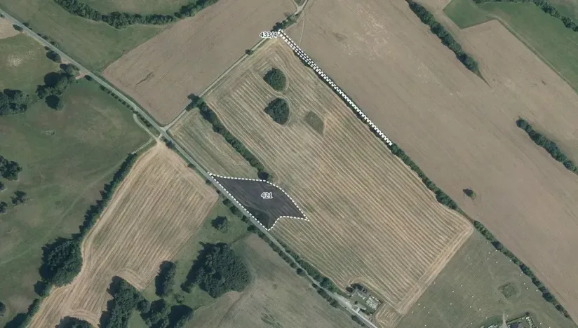 Prodej louky, Zborov, 9806 m2