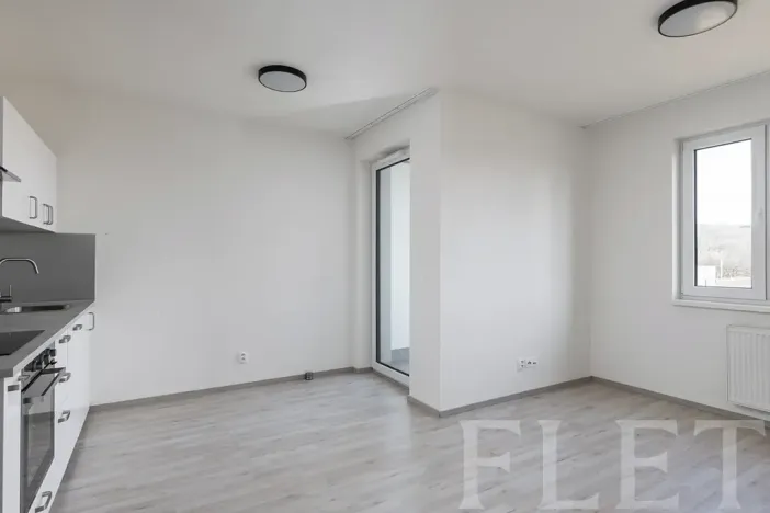 Pronájem bytu 1+kk, Praha - Vysočany, Strnadových, 33 m2