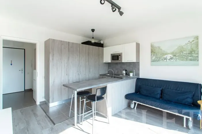 Pronájem bytu 1+kk, Praha - Žižkov, Olgy Havlové, 27 m2