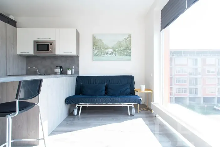 Pronájem bytu 1+kk, Praha - Žižkov, Olgy Havlové, 27 m2