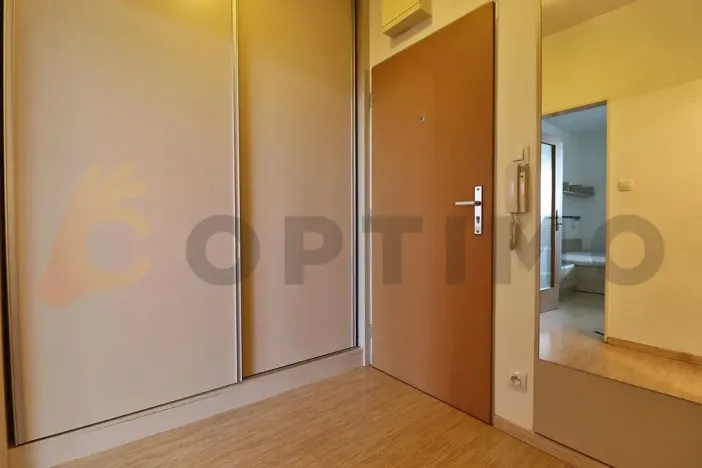 Pronájem bytu 1+kk, Praha - Vysočany, Pod Harfou, 34 m2