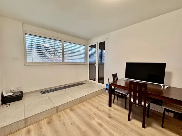 Prodej bytu 2+1, Brno, U Červeného mlýna, 57 m2