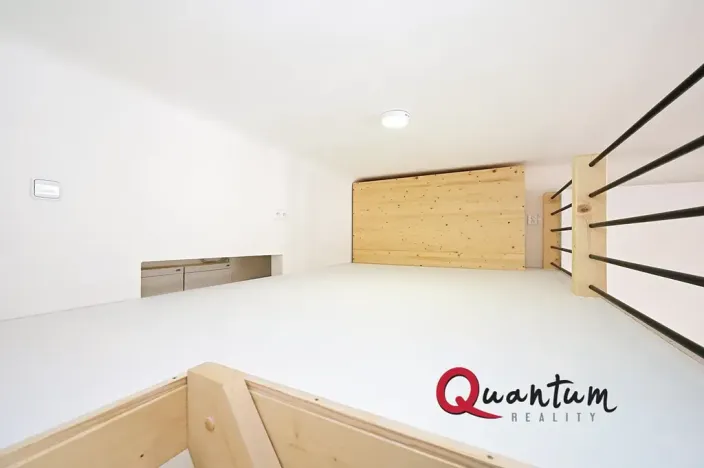 Pronájem bytu 1+kk, Praha - Nusle, Oldřichova, 19 m2