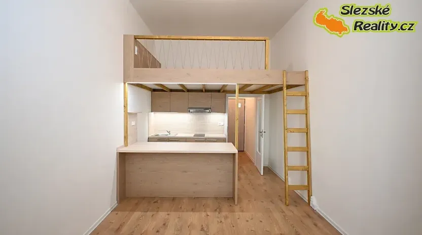 Pronájem bytu 1+kk, Ostrava, Palackého, 26 m2