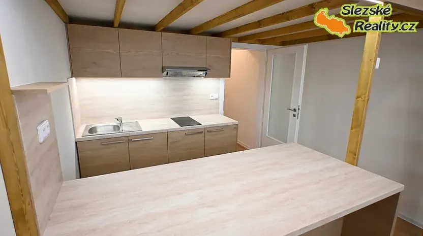 Pronájem bytu 1+kk, Ostrava, Palackého, 26 m2