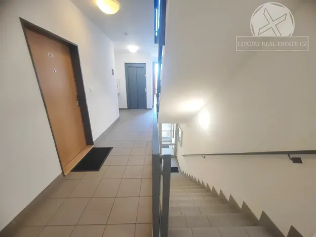 Pronájem bytu 1+kk, Praha - Hloubětín, Nepelova, 29 m2