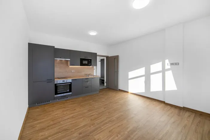 Pronájem bytu 1+kk, Plzeň - Severní Předměstí, Bolevecká, 27 m2