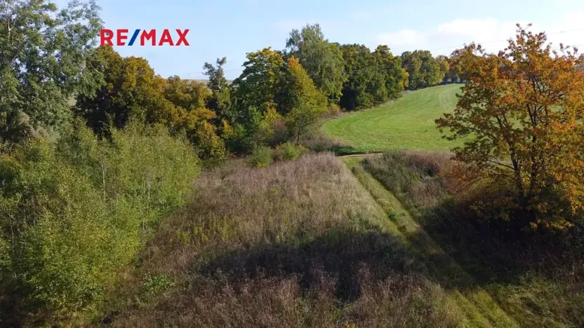 Prodej pozemku pro bydlení, Planá, 3965 m2