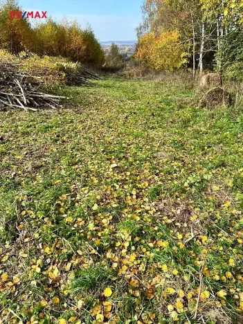 Prodej pozemku pro bydlení, Planá, 3965 m2