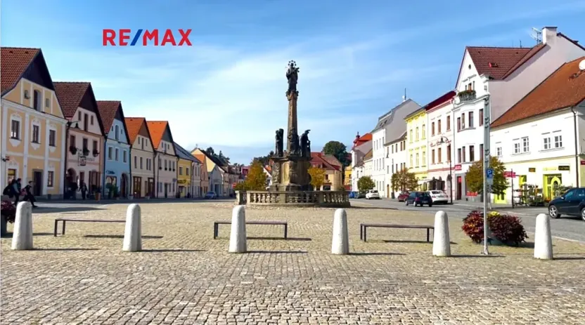 Prodej pozemku pro bydlení, Planá, 3965 m2