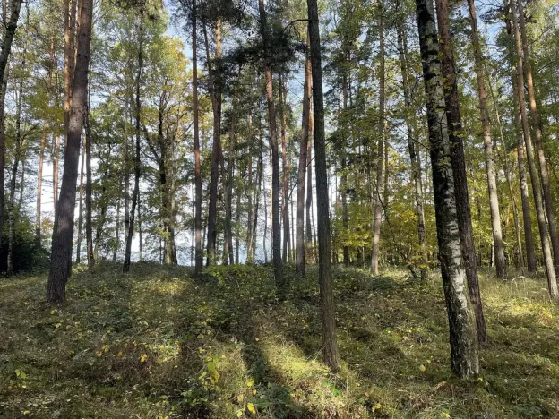 Prodej lesa, Lipí - Kaliště u Lipí, 23659 m2