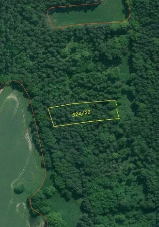 Prodej lesa, Lipí - Kaliště u Lipí, 23659 m2