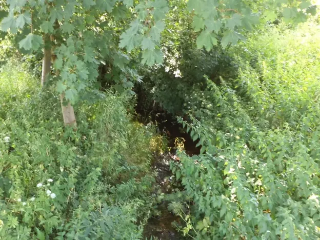 Dražba louky, Staré Buky, 154 m2