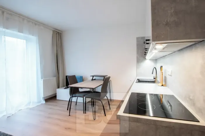 Pronájem bytu 1+kk, Tuchoměřice, V Kněžívce, 22 m2