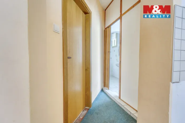 Prodej rodinného domu, Oloví - Hory, 800 m2