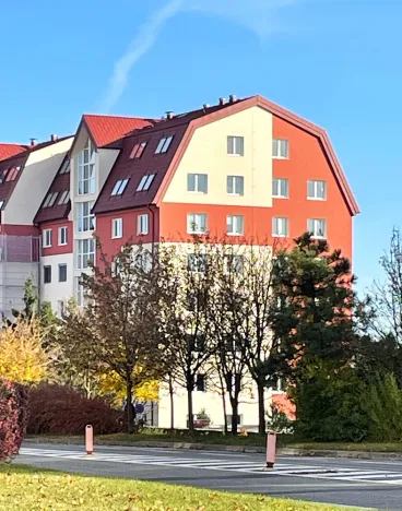 Pronájem bytu 1+kk, Brno - Líšeň, Molákova, 43 m2
