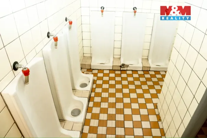 Pronájem obchodního prostoru, Hradešice, 345 m2