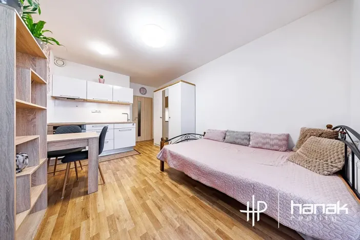 Prodej bytu 1+kk, Olomouc, Edvarda Beneše, 23 m2