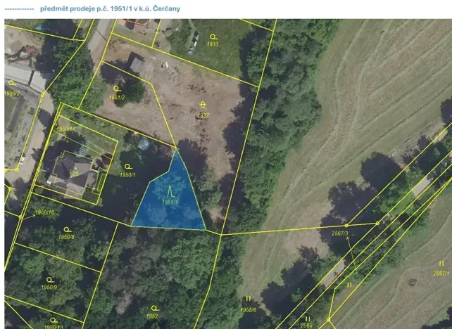 Prodej lesa, Čerčany, 394 m2