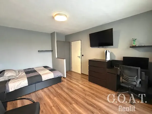 Prodej bytu 1+1, Plzeň, Na Dlouhých, 36 m2