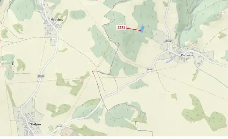 Dražba lesa, Stebno, 1462 m2