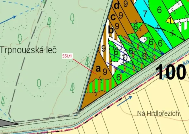 Dražba lesa, Suchdol nad Lužnicí, 9131 m2