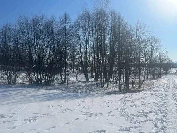 Prodej domu na klíč, Mimoň, Vranovská, 104 m2